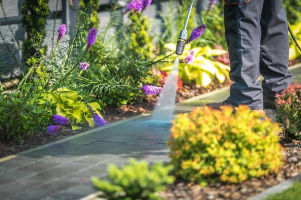 Best Dumpster Area Cleaning  in Whitemarsh Island, GA